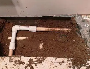 武侯测漏水哪家好